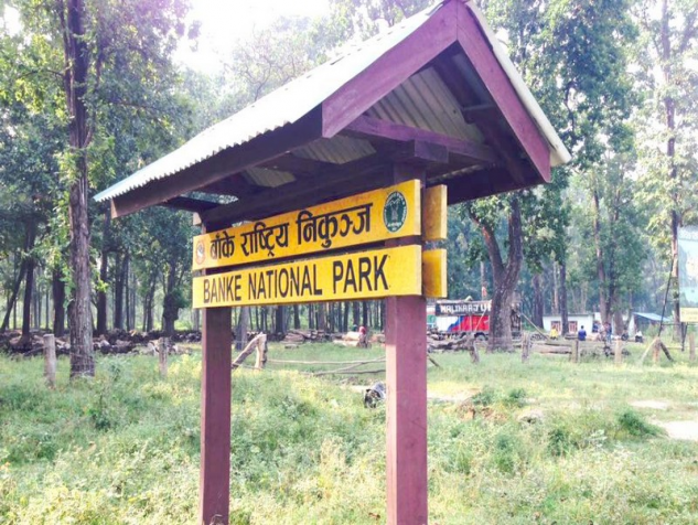 बाँके निकुञ्जमा पर्यापर्यटन प्रवर्द्धन अभियान