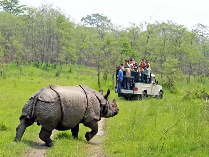 चितवन राष्ट्रिय निकुञ्ज स्वर्ण वर्ष मनाउँदै