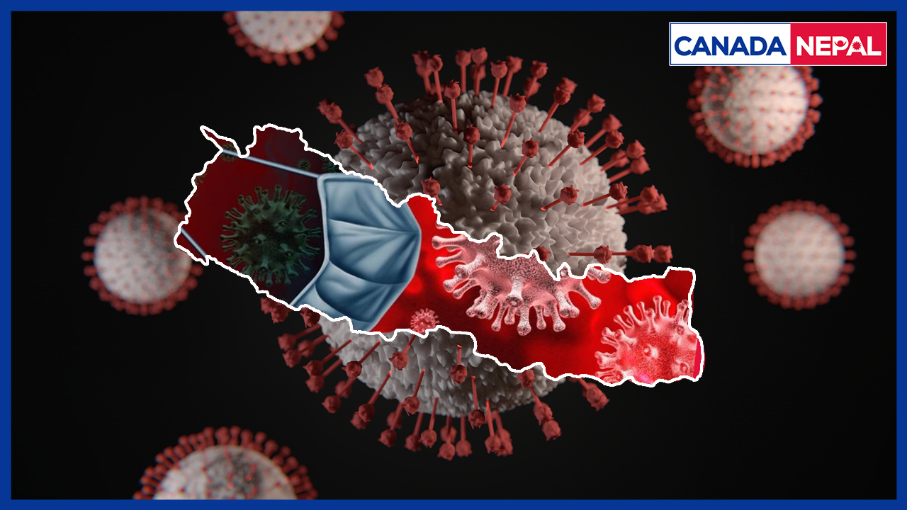 नेपालमा थप ४० जनामा कोरोना संक्रमण पुष्टि