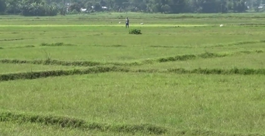 उद्योग स्थापनाका लागि सरकारी जग्गा ५० वर्षलाई लिजमा