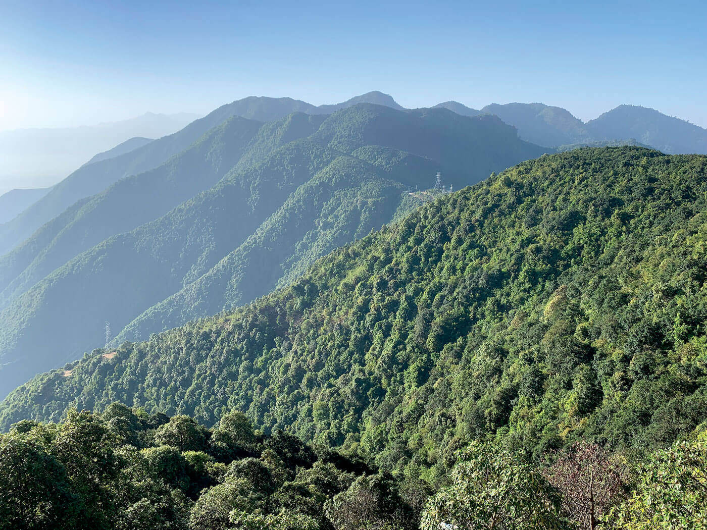 खेतीपाती नहुने जग्गा सदुपयोग गर्न निजी वनमा आकर्षण