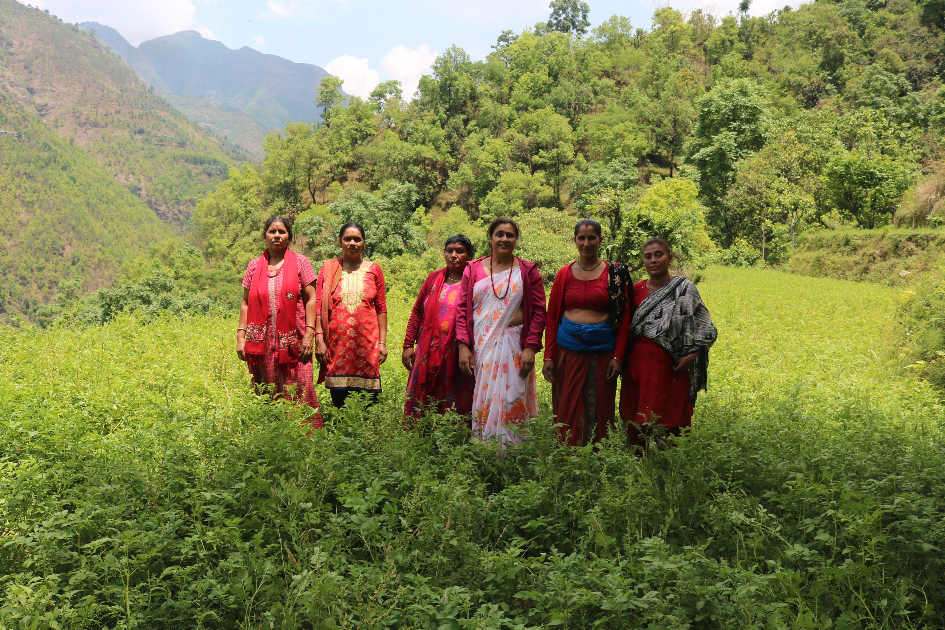 विगत १० वर्षदेखि मुसिकोटका महिला सामूहिक आलु खेतीमा 