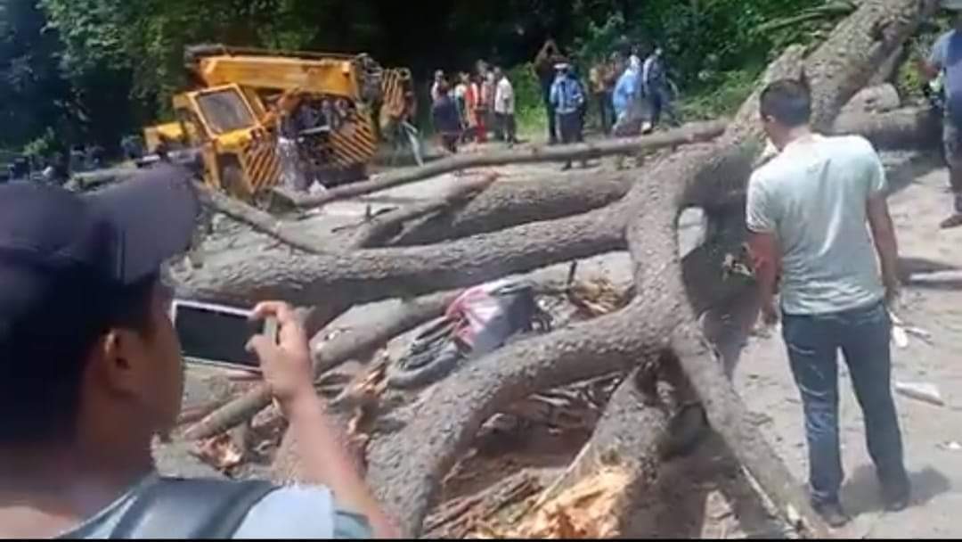 सल्लाघारीमा रुख ढलेर मृत्यु भएका तीन जनाको पहिचान खुल्यो