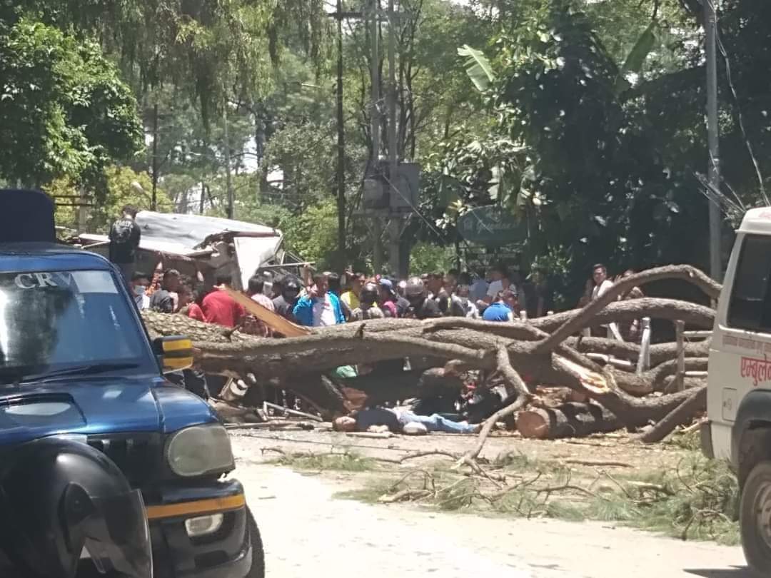 भक्तपुरमा रुखले किच्दा मृत्यु भएका तीनैजनाको सनाखत