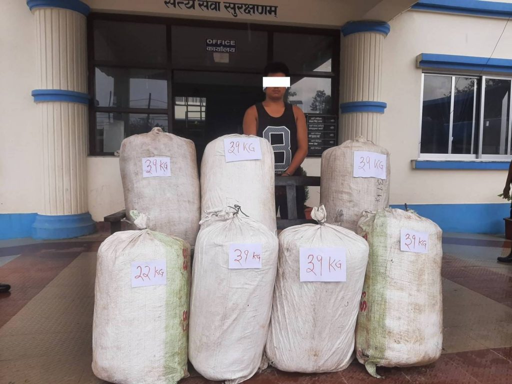 लागुऔषध गाँजा सहित २ जना पक्राउ