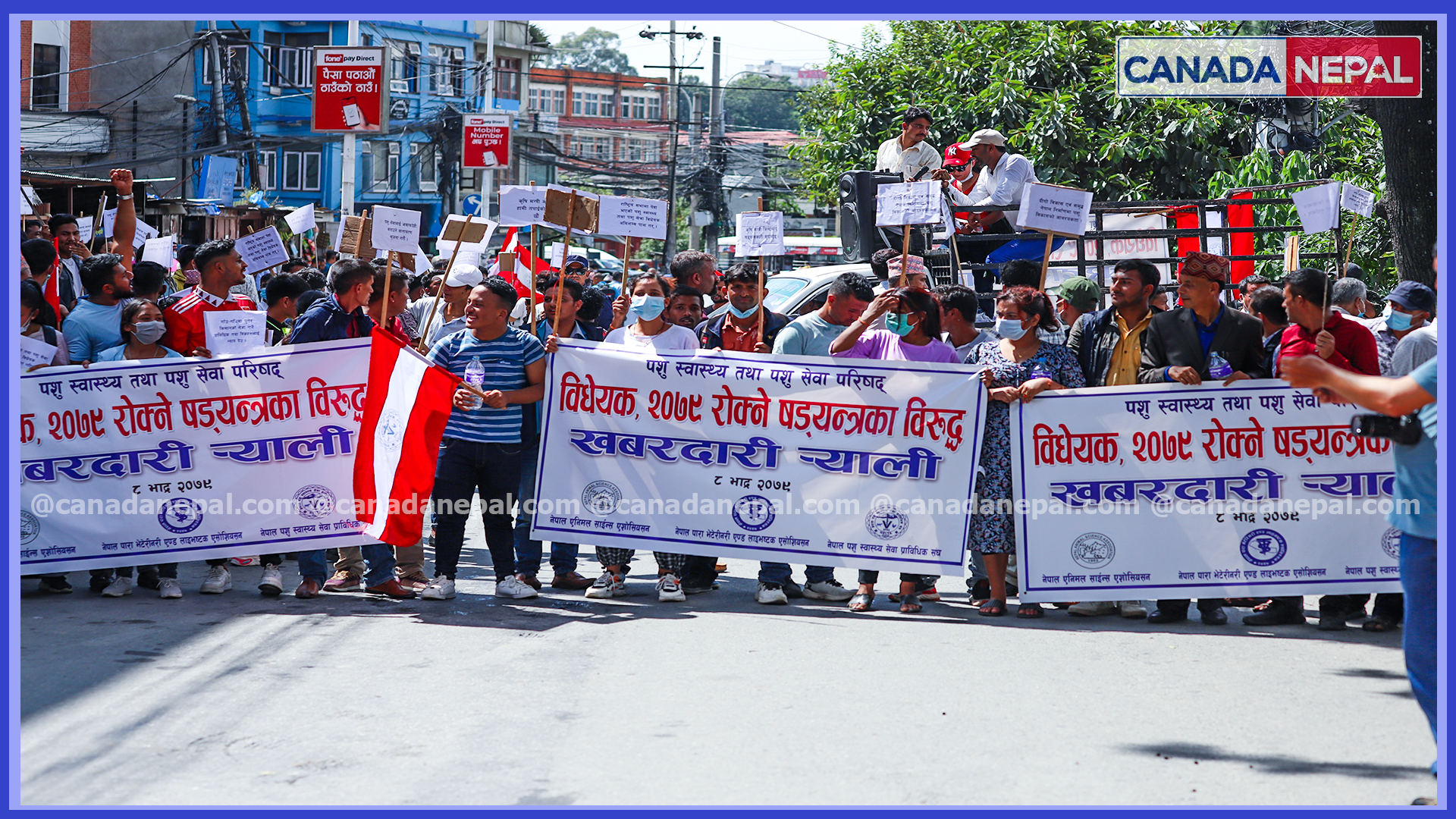 स्वास्थ्य तथा पशु सेवा परिषद् विधेयक रोक्ने षड्यन्त्र भएको भन्दै प्रर्दशन (तस्वीरहरू)