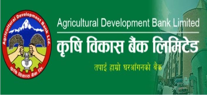 सरकारी बैंकको भवन तथा जग्गा प्रयोगमा आएन
