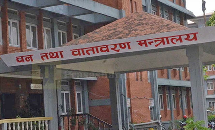 वन निगमको प्रमुख कार्यकारी अधिकृतका लागि दरखास्त माग