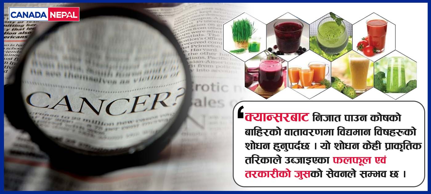 क्यान्सर रोगीले खानैपर्ने जुसहरु