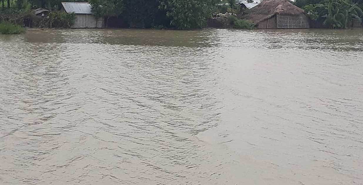 चन्द्र नहरको बाध भत्किँदा दर्जनौं घर डुबानमा, सयौं बिघा धानबाली नष्ट