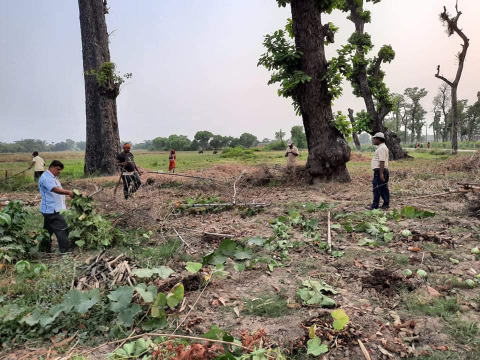 बाँझो जमिन प्रयोग गर्ने कृषकलाई प्रतिरोपनी भत्ता