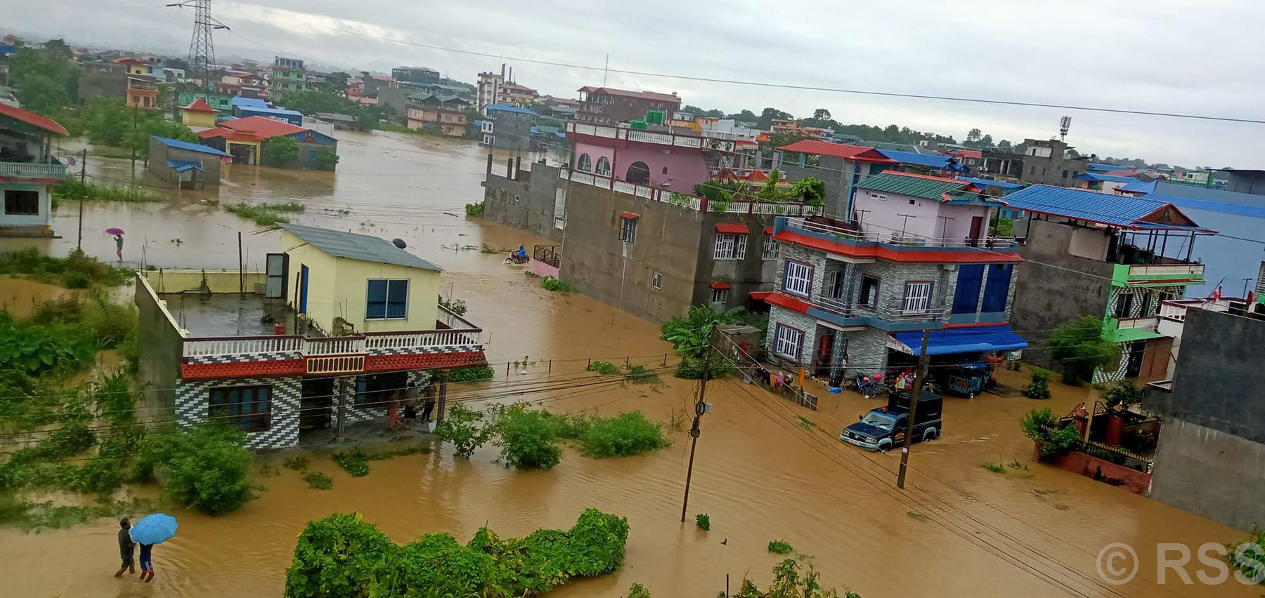 डुबानमा गैँडाकोटको बस्ती