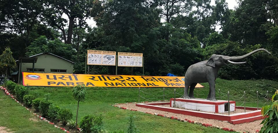 वन मन्त्री यादवले दिए पर्सा निकुञ्जमा विद्युत् लाइन भूमिगत गर्न अनुमति
