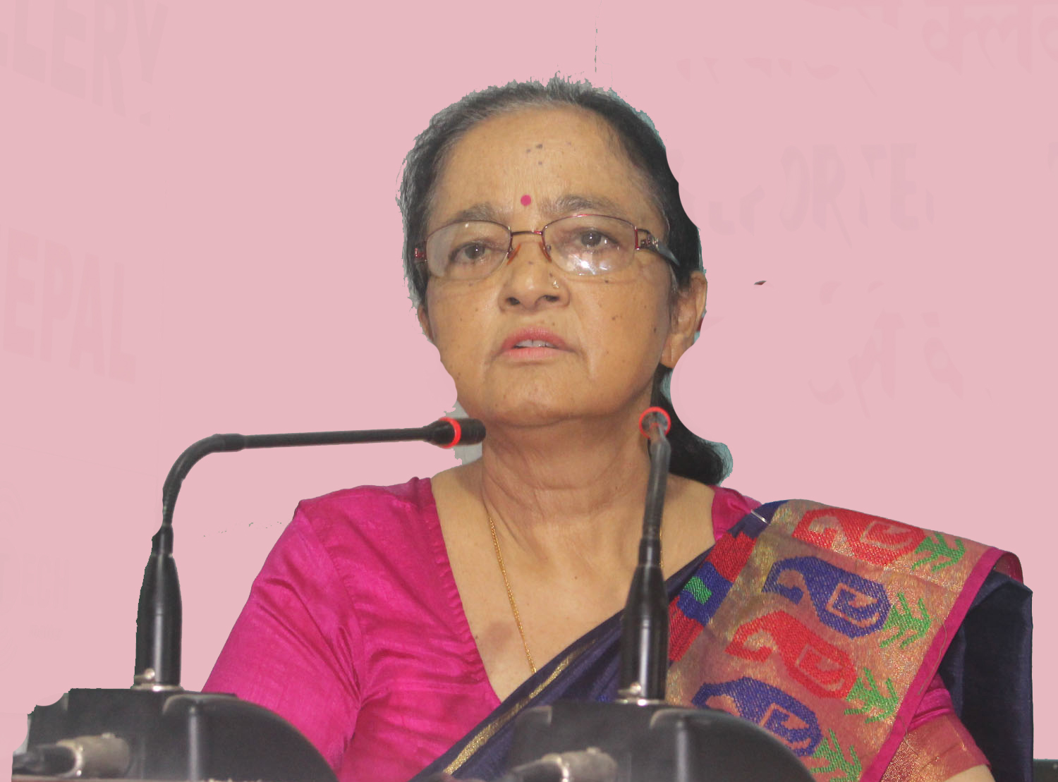 दक्षिण एसिया जलवायु परिवर्तनको उच्च जोखिममा छः मन्त्री रेग्मी