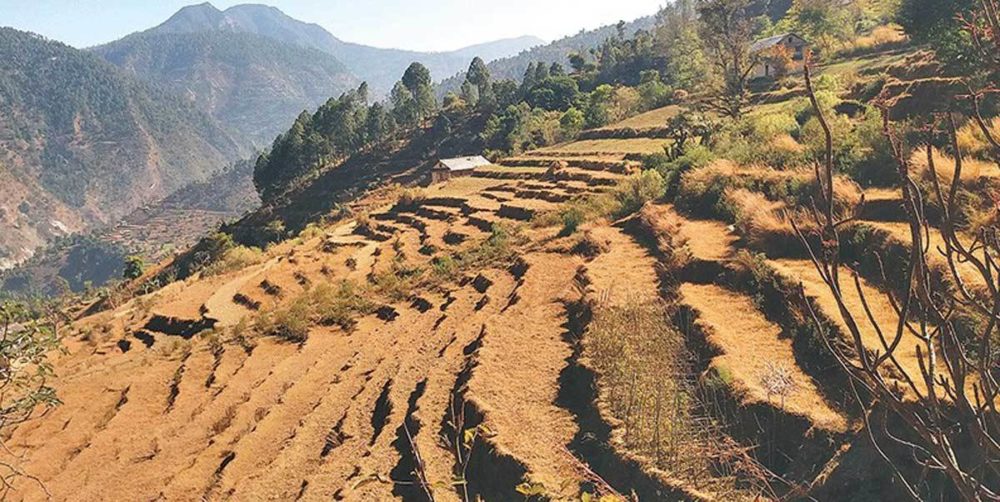 जमिनको कित्ताकाट नहुँदा राजस्वमा असर