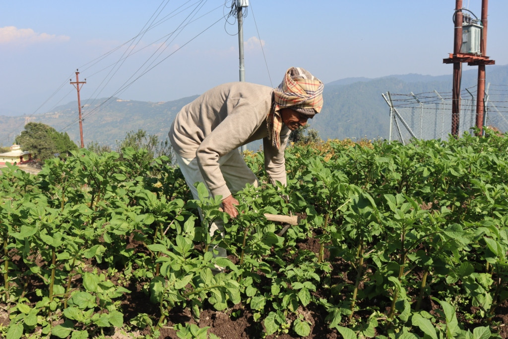 ९० वर्षको उमेरमा कृषि र पशुपालनमा सक्रिय