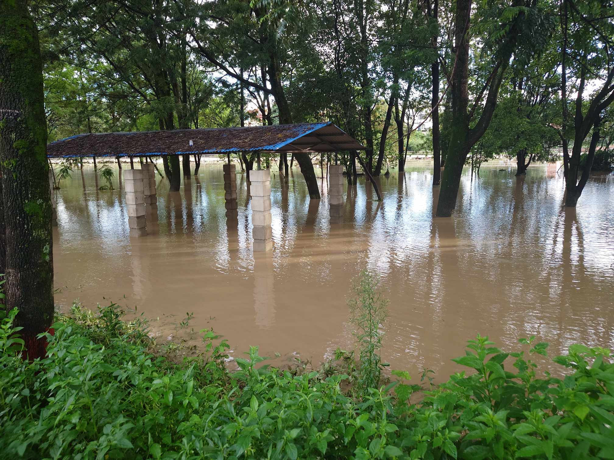 मनोहरा र हनुमन्ते दोभान क्षेत्र डुबानमा : विद्यालय र ग्यारेजमा क्षति