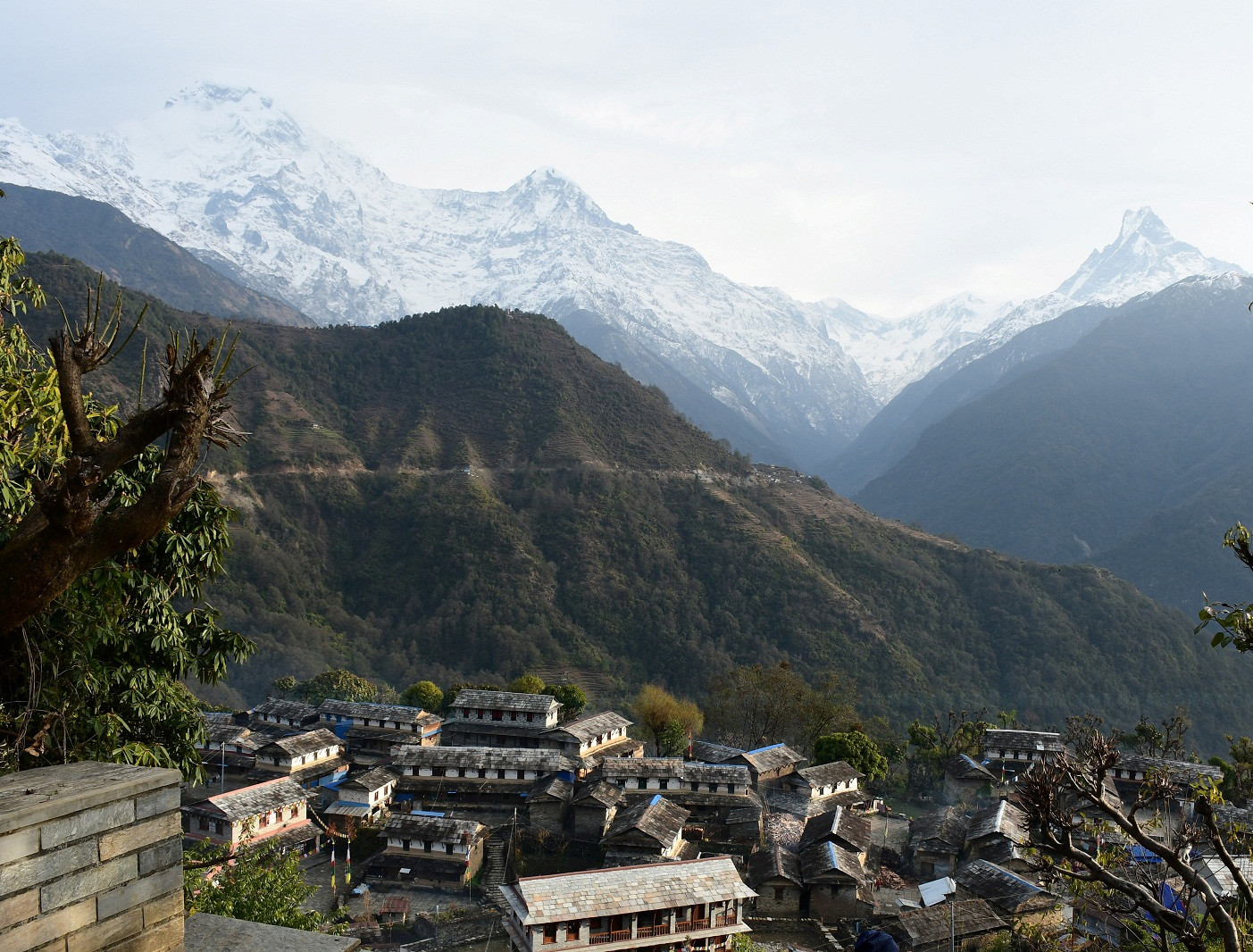 पहिरोले अवरुद्ध भएको घान्द्रुक जाने सडक दुई महिनापछि खुल्यो