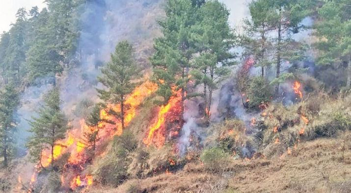 मनाङको स्यार्कु जङ्गलमा आगलागी