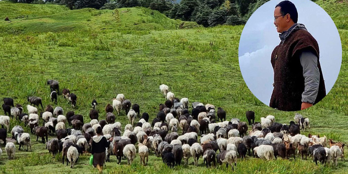 पढाइ स्नातकोत्तर, काम भेडा गोठालो !