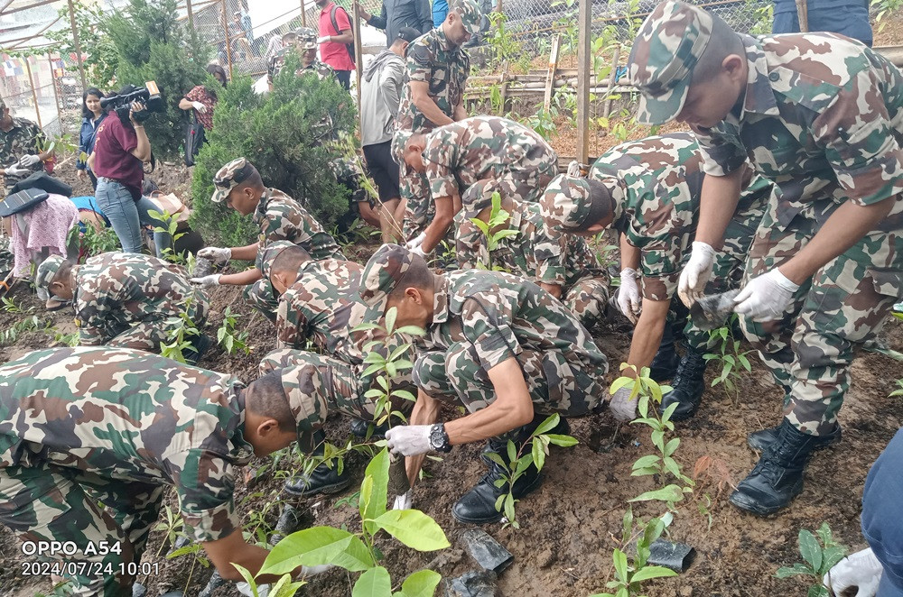 विश्व सम्पदास्थल स्वयम्भूमा वृक्षरोपण