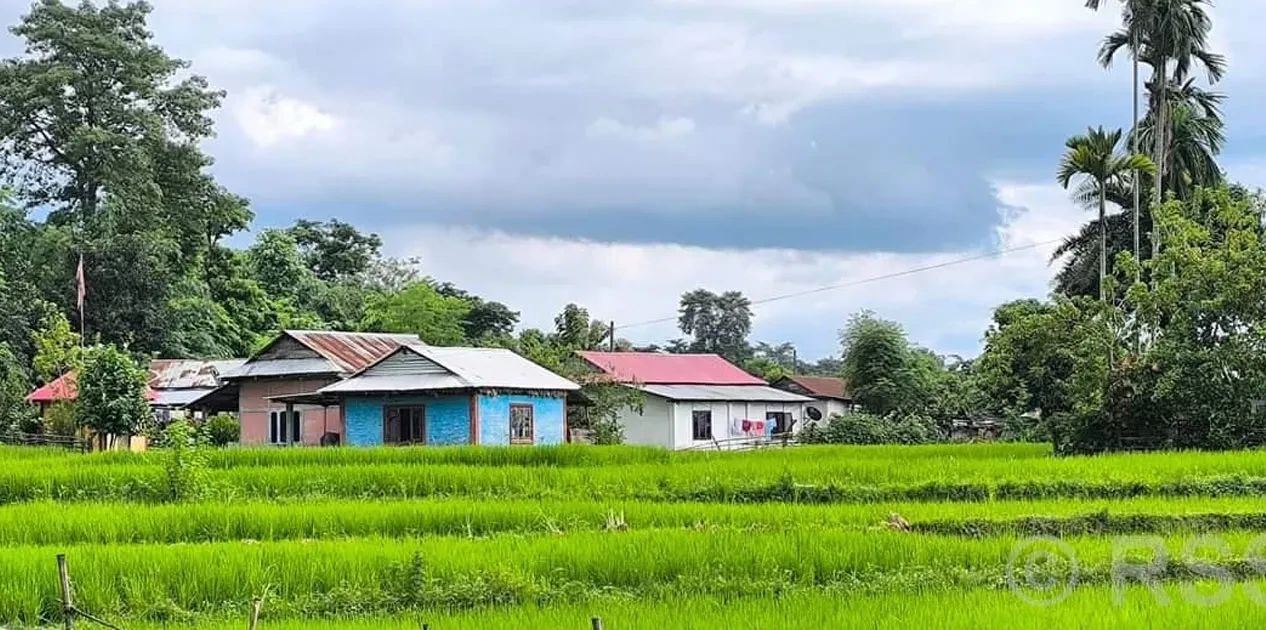 व्यावसायिक कृषि क्षेत्रमा आकर्षित बालचन खोरियाका किसान