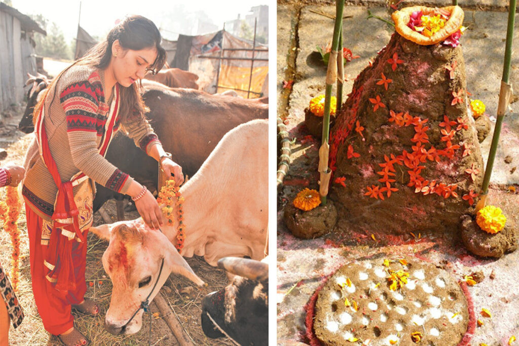 तिहारको चौँथो दिन आज गोवर्द्धन पूजा