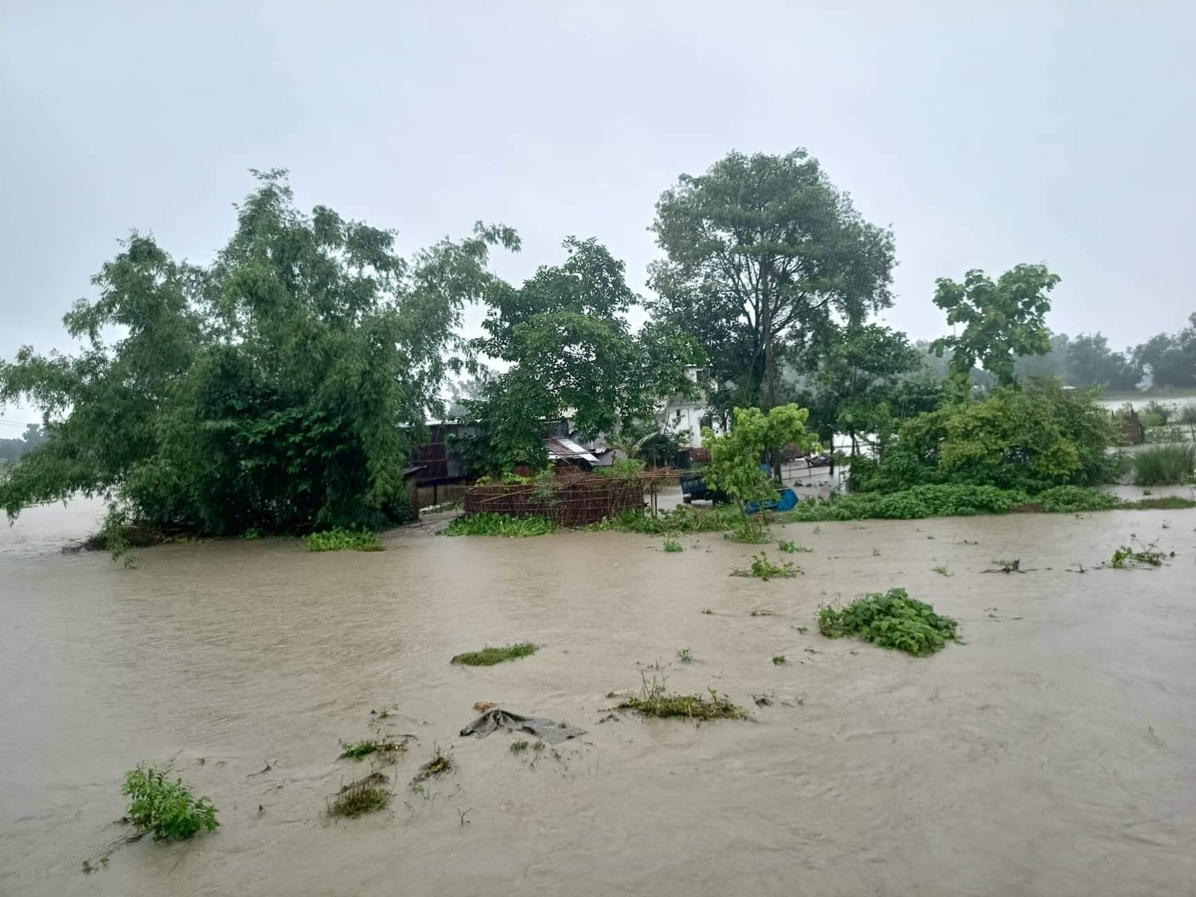 भारी वर्षाले झापाको जनजीवन प्रभावित