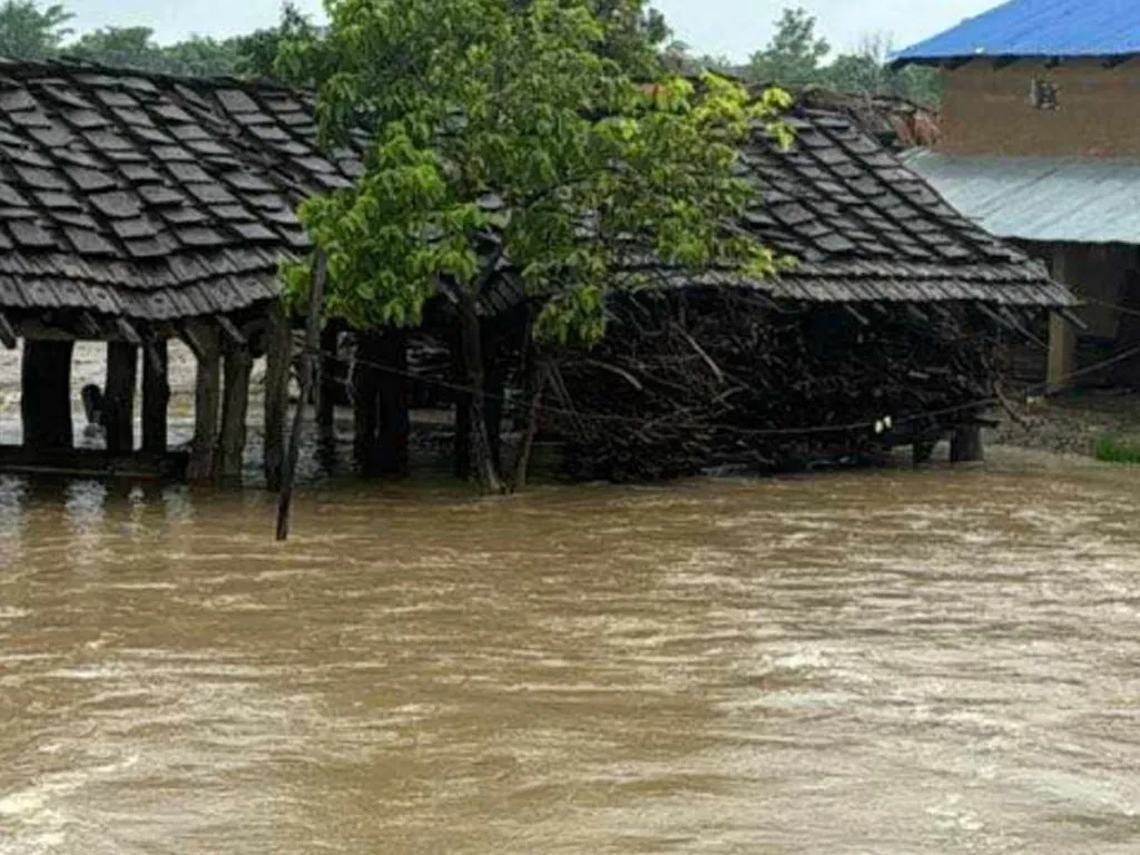 बाढी, पहिरो लगायतका विपद्‍मा परी ११३ जनाको मृत्यु