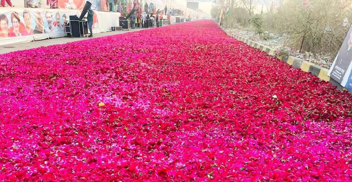 गान्धीको स्वागतमा ६ हजार किलो गुलाब दुई किमी सडकमा बिछ्याइयो