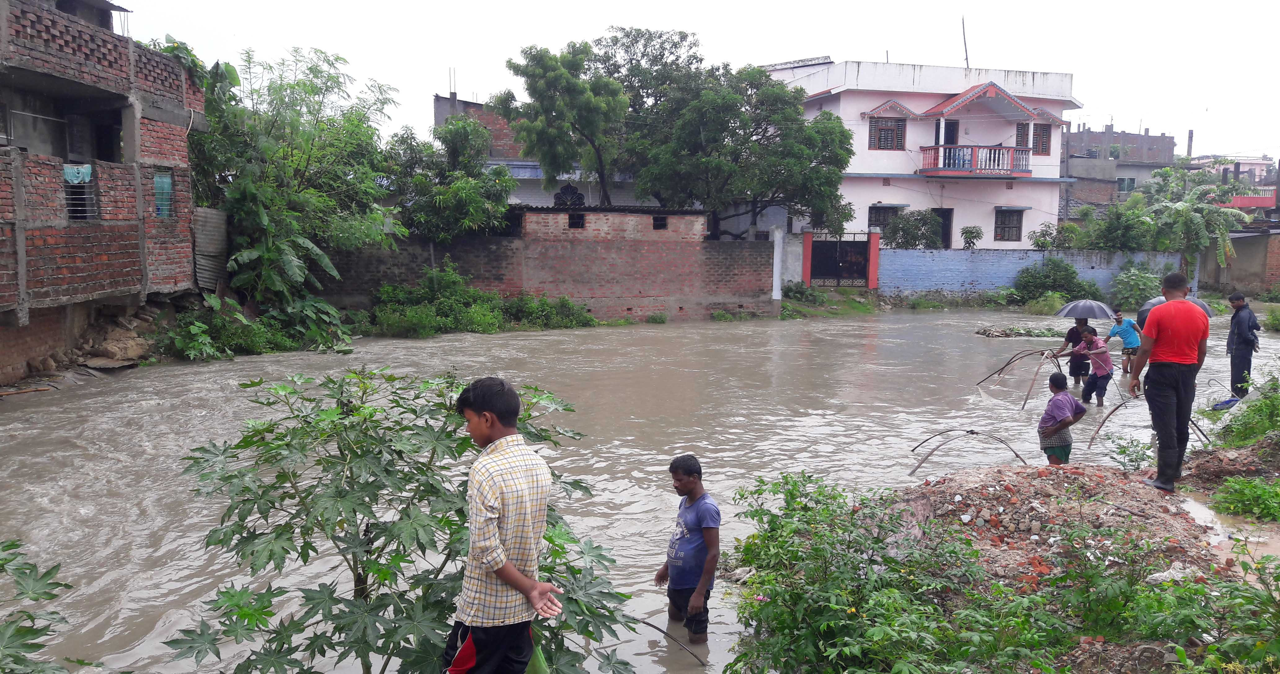 भारी वर्षाले सप्तरीमा एक सयभन्दा बढी घर डुवानमा