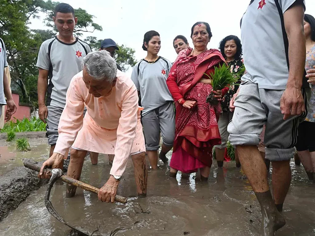 धान रोपाइँ कार्यक्रममा राष्ट्रपति पौडेल सहभागी