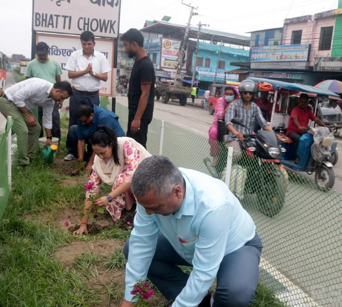 विराटनगरका सडकमा सौन्दर्यीकरण अभियान