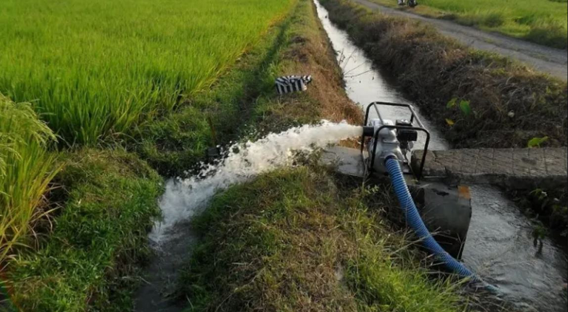 चार सय १७ हेक्टर बढी क्षेत्रफलमा सिँचाइ सुविधा विस्तार