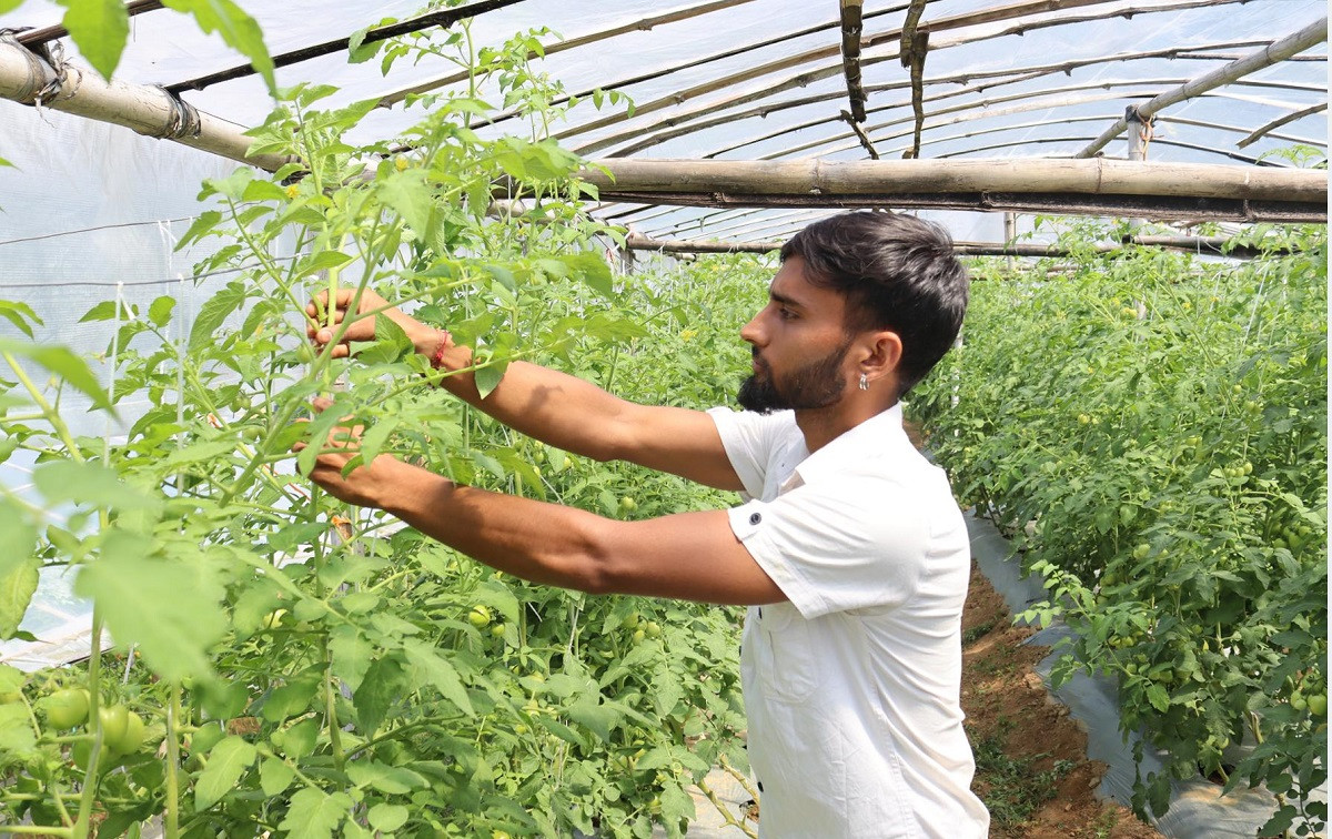 सागसब्जी खेतीबाटै दैनिक १० हजार कमाई