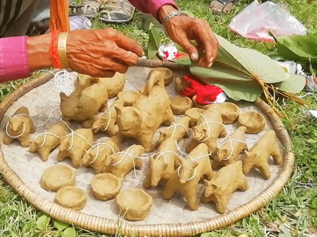 थारू समुदायद्वारा हरेरी पूजा गरिँदै